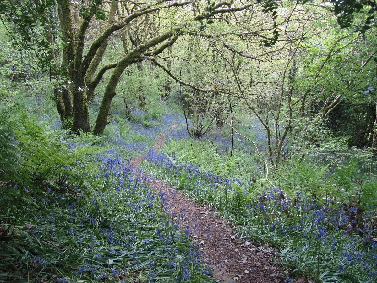 Writing About Place: Capturing British Towns and Countryside on the Page
